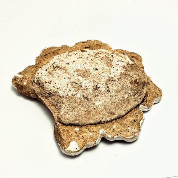 Element dekoracyjny z budowli XIX w. - obrazek 3
