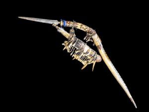 Sztylet rytualny z kła i żębów , Afryka Pd. XX w.