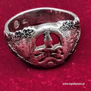 Sygnet pamiatkowy za walki z bandami Wehrmacht 2 wojna światowa , srebro XX w. Niemcy