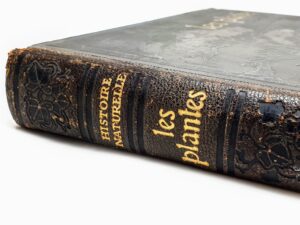 Stary francuski album botaniczny Les Plantes z serii historia naturalna, bogato ilustrowany, okładka i wnętrze.