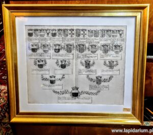 Drzewo genealogiczne - miedzioryt na papierze czerpanym oprawiony w drewnianą ramę pod szkłem.