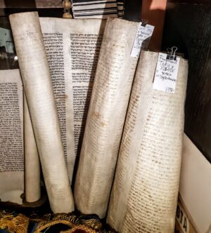 Fragment rękopiśmiennej Tory na pergaminie, znaleziony w Częstochowie, dwie karty tekstu hebrajskiego